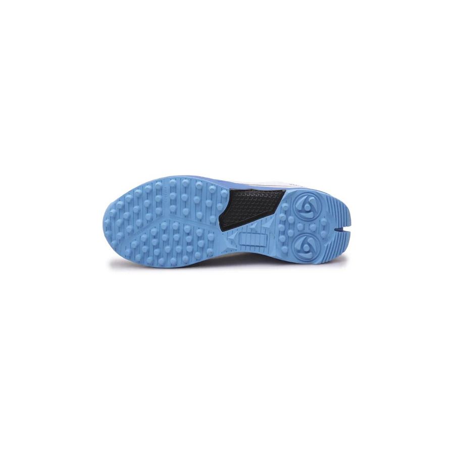 CRICKET SHOES-ESS 2020 PLAY-WHT-BLUE-B880-3